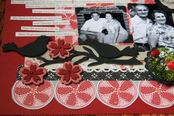 Pomegranate Memories by scrap2day gallery