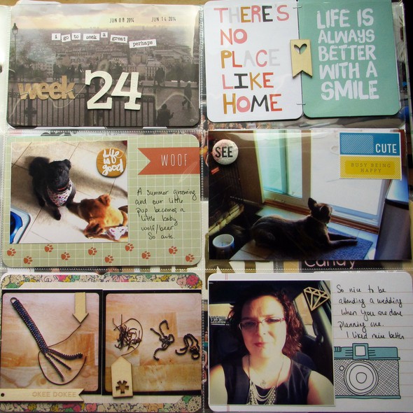 Project life June 2014 by sparkleyturtle gallery