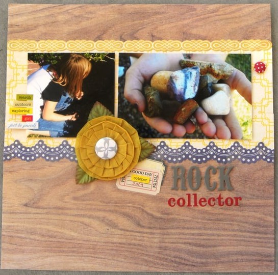 Rock Collector