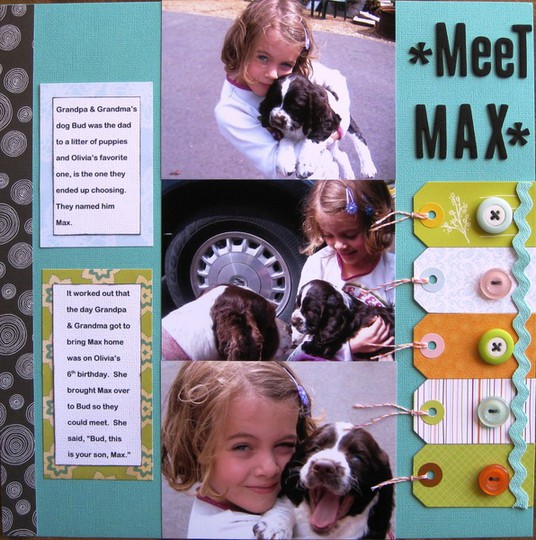 Meet max