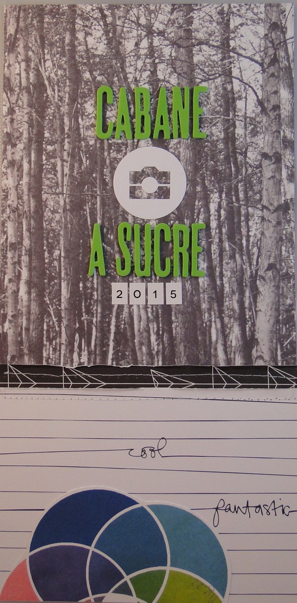 Cabane à sucre 2015 by Pepierre gallery