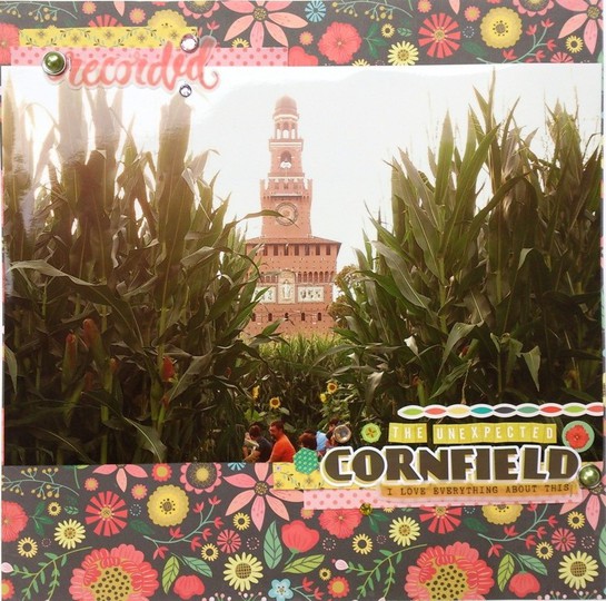 The Unexpected Cornfield part 1