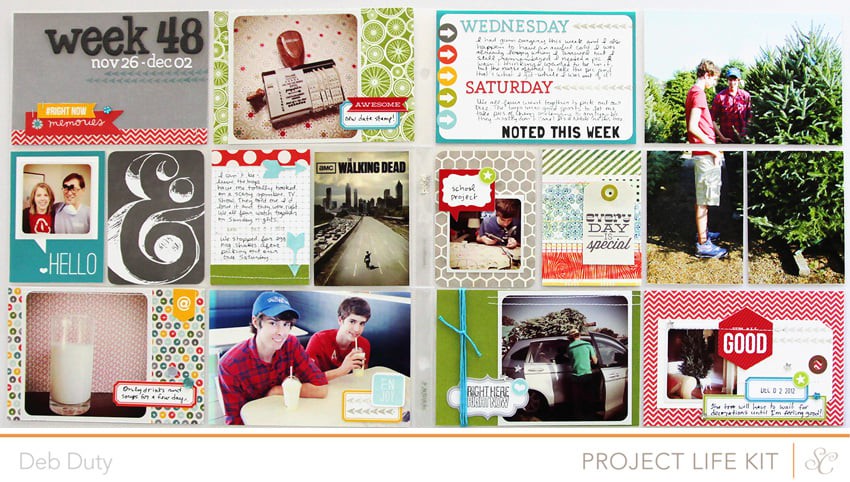 Project Life Week 48