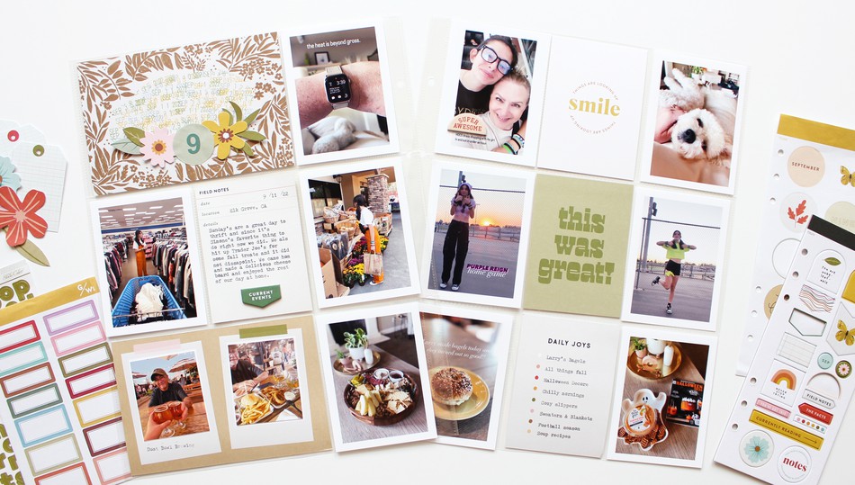 project_life subscription