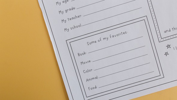 All About Me Poster Pack gallery
