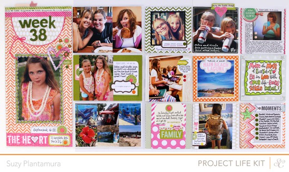 Project Life Week 38 by suzyplant gallery