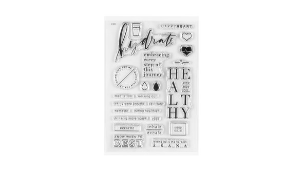 Stamp Set : 4×6 Wellness by Paislee Press gallery