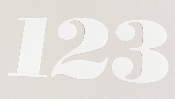 Large White Vellum Numbers gallery