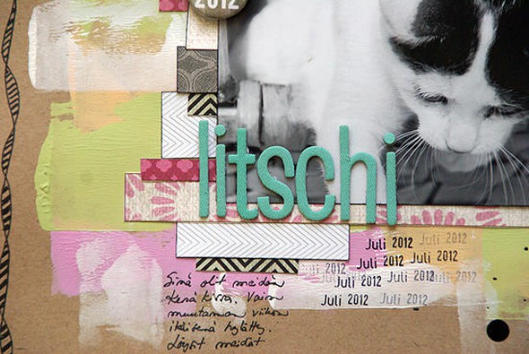 Litschi..(lychee) + video by Saneli gallery