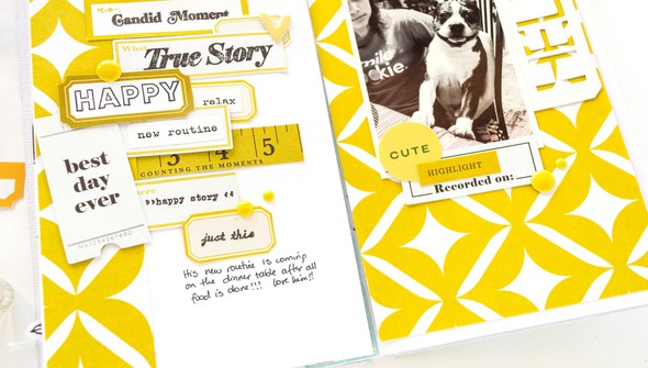 Shape Your Story in Traveler's Notebooks | 02 gallery