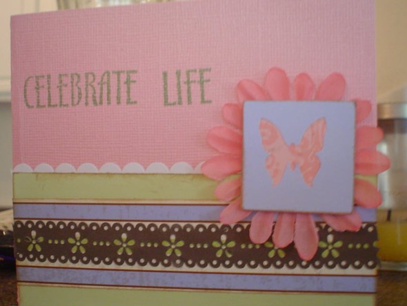 Celebrate Life card by Tiffharper143 gallery