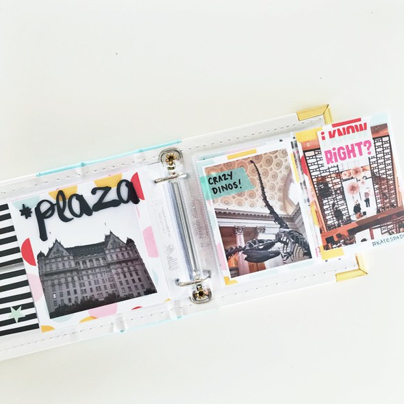 NSS/NYC 2015 Mini Book by CrumpleandToss gallery