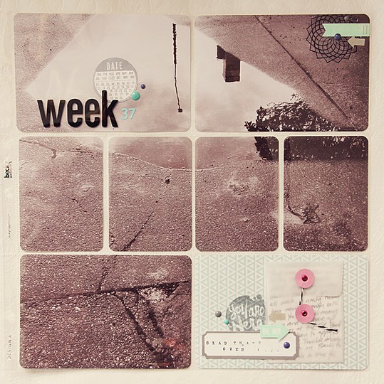 Project Life Week 37