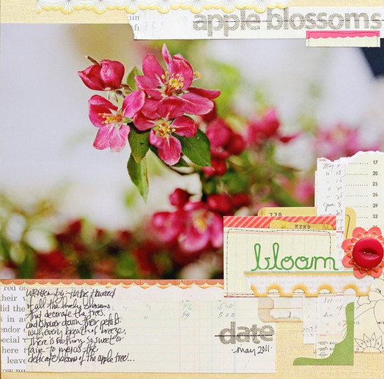 Meganklauer apple blossoms may tech