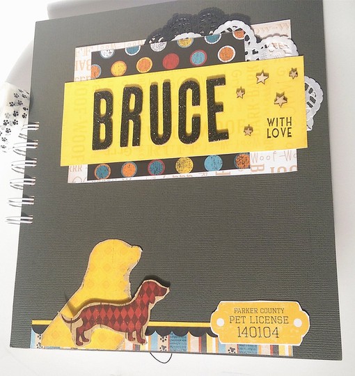 Bruce Album