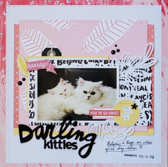 Darling Kitties