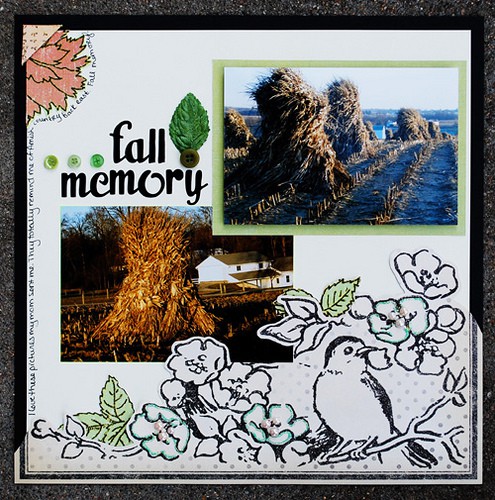 Fall memory
