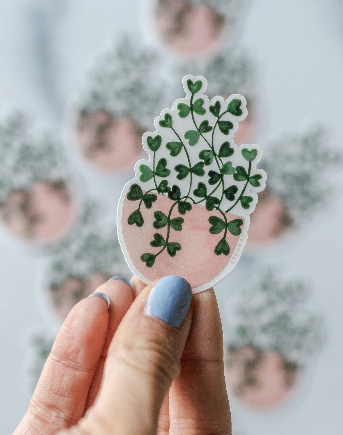 Sweetheart Plant Clear Decal Sticker item