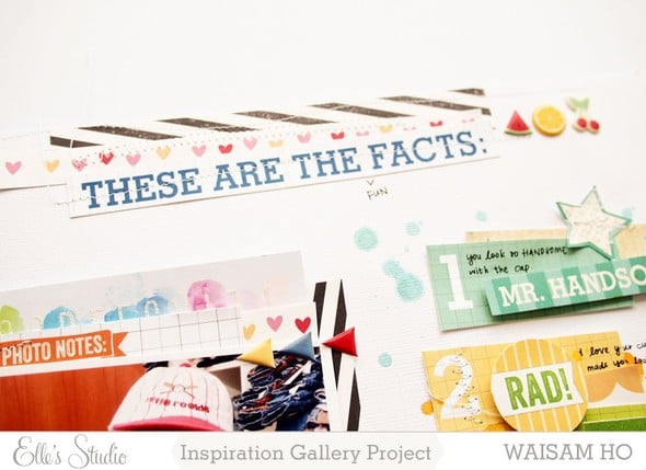 Fun Facts *Elle's Studio* by WaiSam gallery