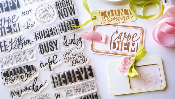 Stamp Set : 6×8 Stamp Society - March 2025 gallery