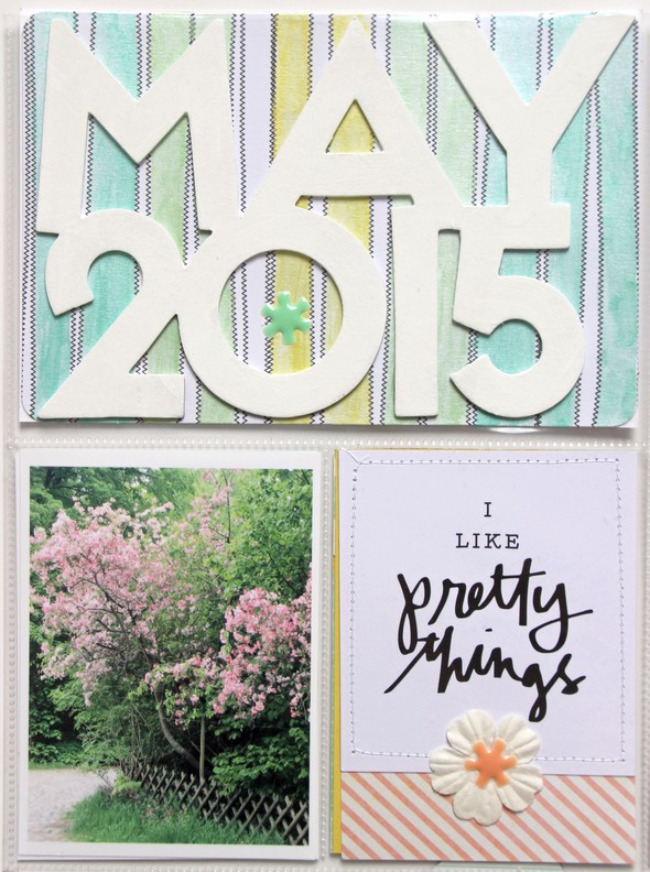 Project Life May 2015-1 by AnkeKramer gallery