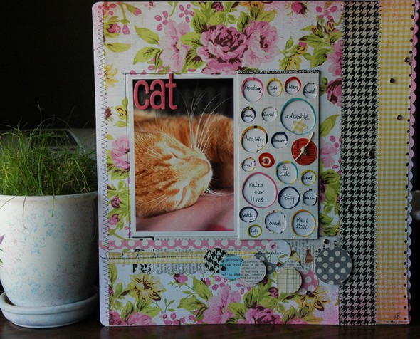 ***Cat*** NSD challenge-better late than never!! by Gracie gallery