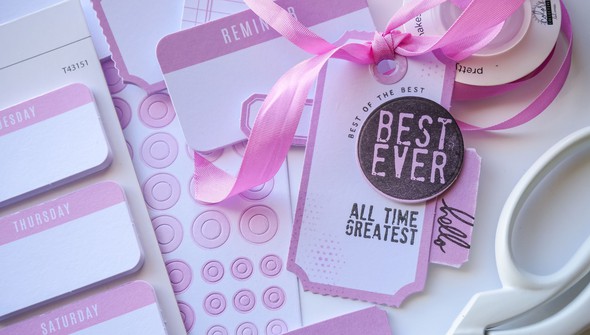 Color Collective Bundle - Pinkity 2024 gallery