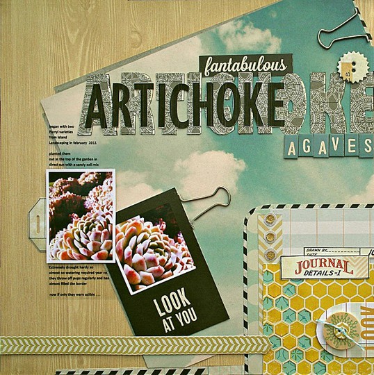 Artichoke Agaves
