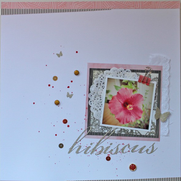 hibiscus by blbooth gallery