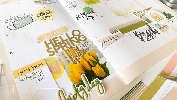 Stop the Blur Memory Planner Kit - March 2021 gallery