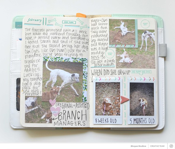 Dog Days of (fake) Spring // The Birds & The Bees // Traveler's Notebook by mstockton gallery