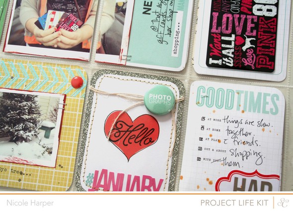 Project LIfe {February Kit #2} by NicoleH gallery