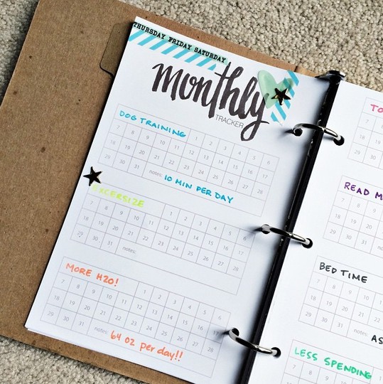 monthly tracker pages