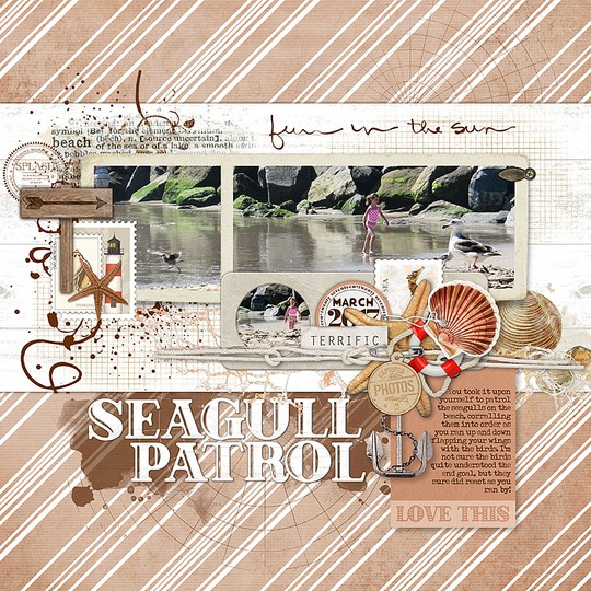 Seagull patrol original