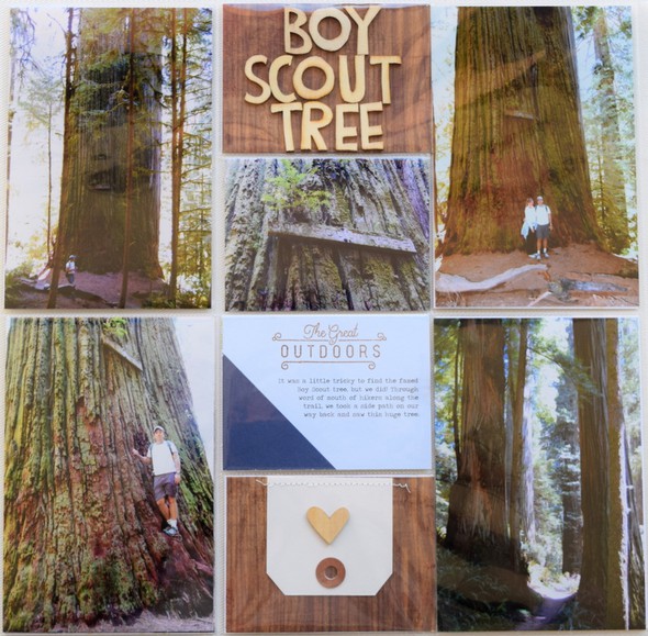 Boy Scout Tree1 by Glynda gallery