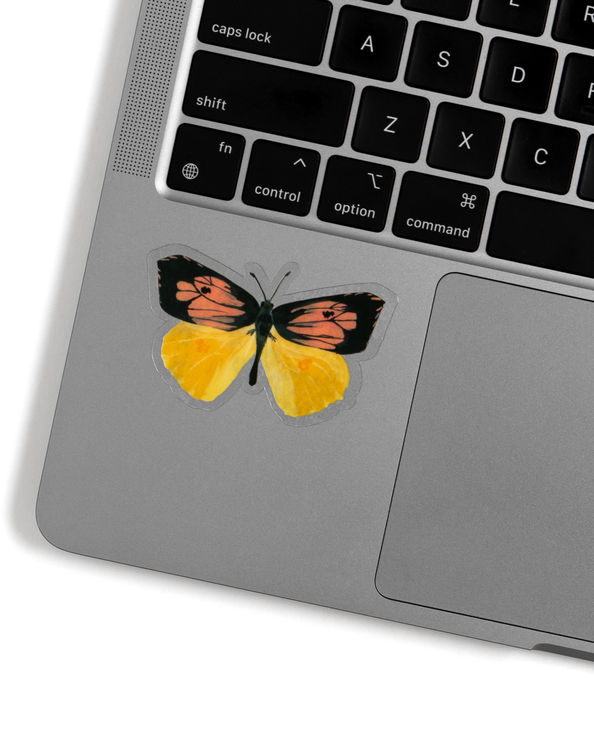 California Butterfly Decal California Butterfly Decal