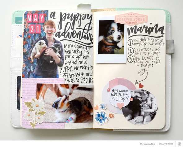 The Great Puppy Adventure // Been & Gone // Traveler's Notebook by mstockton gallery