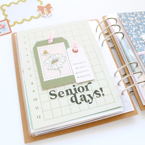 Senior Days 6x8 Spread by desialy gallery