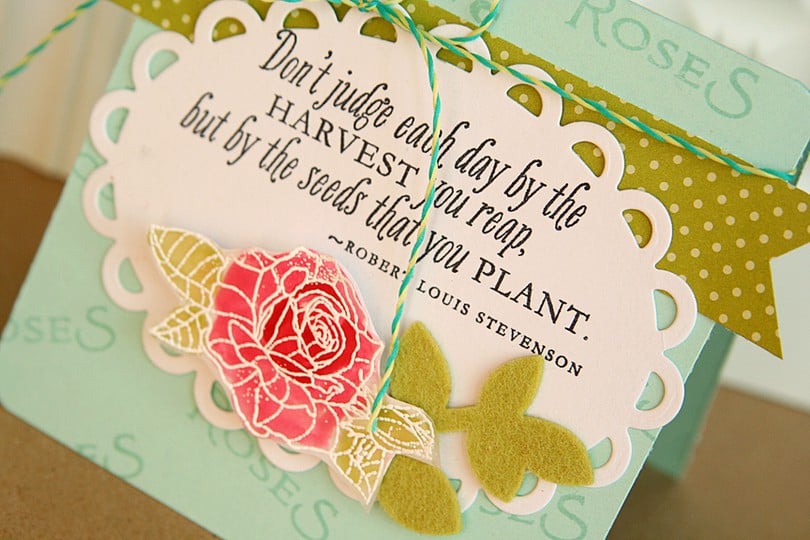 Garden Variety II card and seed packet gift card
