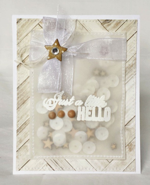 Sequin Pocket Card by agomalley gallery