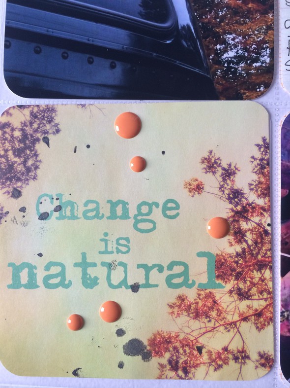 Project Life (October 2012) - Change Is Natural Insert by toribissell gallery