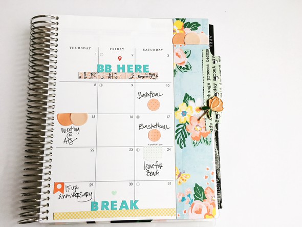 Erin Condren Monthly Spread by stephanie_howell gallery