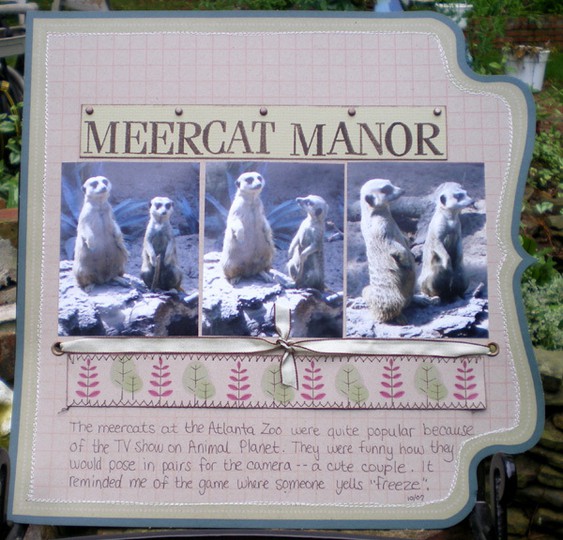 Meercat manor