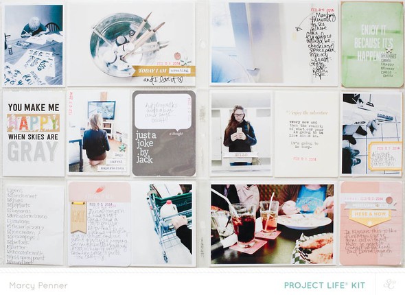 PROJECT LIFE | FEBRUARY 2014 *main only* by marcypenner gallery