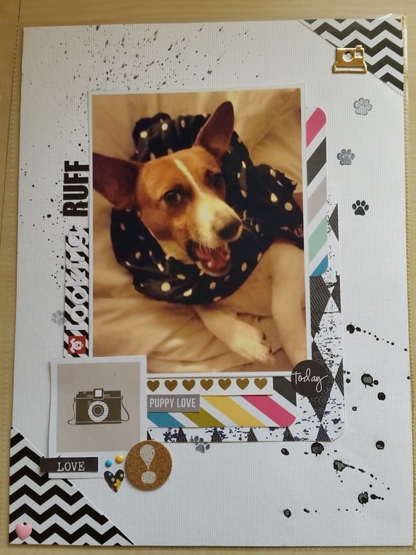 Looking Ruff Layout by Christine_Kelly gallery