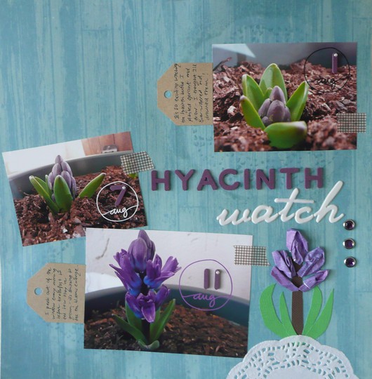 Hyacinth watch