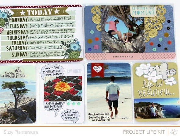 Project Life Week 26a by suzyplant gallery