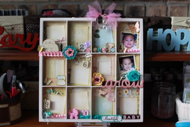 12-month Photo Tray
