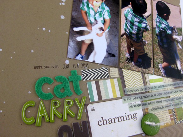 No. 3| Cat Carry On by jamieleija gallery