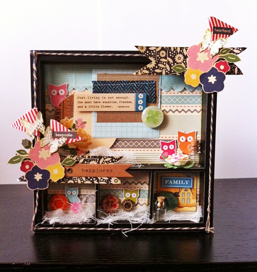 Altered Shadow Box